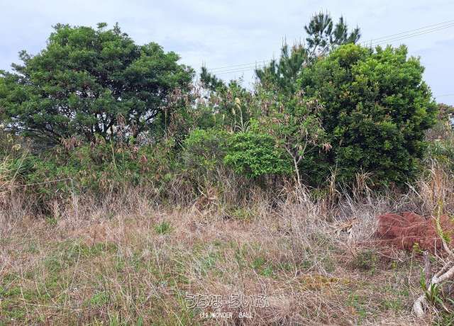 40 Tsubo Land Plot in Nakijin Wellness Village Hillside, Okinawa - Thumbnail 2