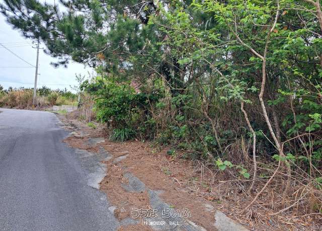 40 Tsubo Land Plot in Nakijin Wellness Village Hillside, Okinawa - Thumbnail 3
