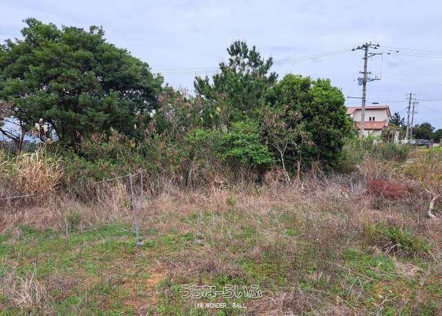 40 Tsubo Land Plot in Nakijin Wellness Village Hillside, Okinawa - Thumbnail 4