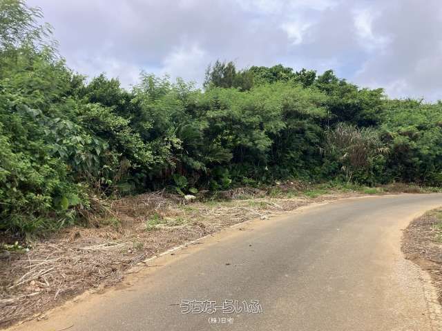 796 sqm Farmland Plot for Sale in Miyakojima, Okinawa - Thumbnail 3