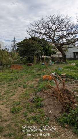 660 sqm Land for Sale in Tamamata, Nago, Okinawa - Thumbnail 4