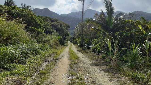 3343 sqm Land for Sale in Fukai, Ishigaki Island, Okinawa - Thumbnail 3