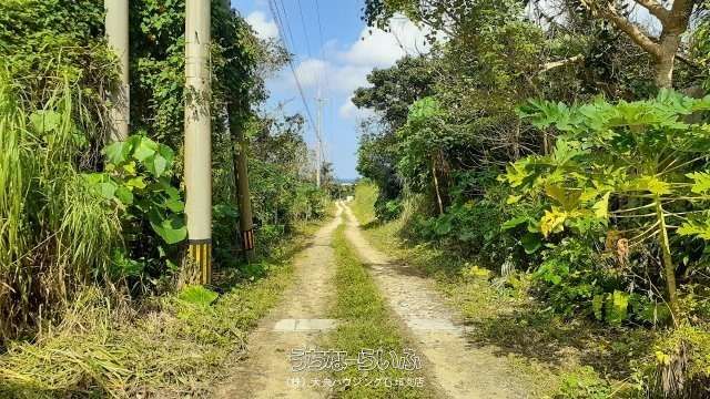 3343 sqm Land for Sale in Fukai, Ishigaki Island, Okinawa - Thumbnail 2