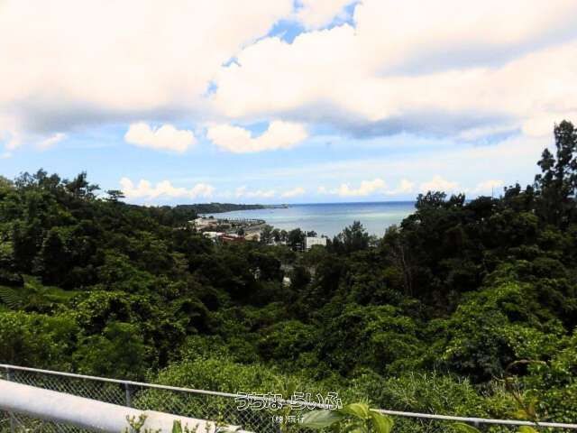 2273 sqm Land for Sale in Onna Village, Okinawa with Views - Thumbnail 2
