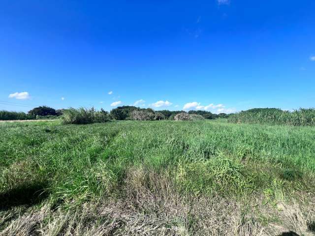2360 sqm Agricultural Land for Sale in Yaese Town, Okinawa - Thumbnail 3