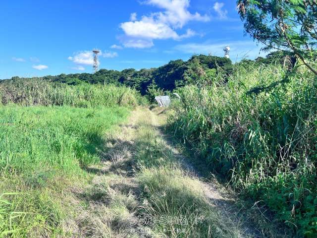 2360 sqm Agricultural Land for Sale in Yaese Town, Okinawa - Thumbnail 4