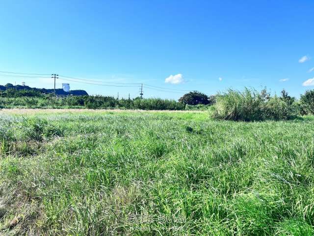 2360 sqm Agricultural Land for Sale in Yaese Town, Okinawa - Thumbnail 2
