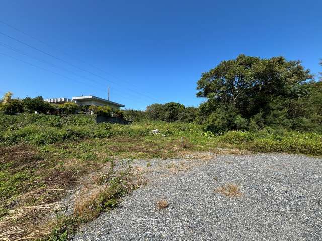 1124 sqm Land for Sale in Motobu Town, Okinawa Near Churaumi Aquarium - Thumbnail 4