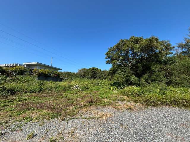 1124 sqm Land for Sale in Motobu Town, Okinawa Near Churaumi Aquarium - Thumbnail 3