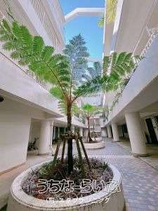 Renovated 3LDK Corner Apartment with Parking in Tomigusuku - Thumbnail 3