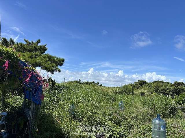 1918 sqm Land for Sale in Kunen, Nanjo City, Okinawa - Thumbnail 2