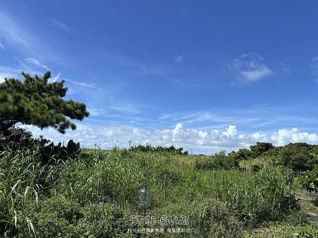 1918 sqm Land for Sale in Kunen, Nanjo City, Okinawa - Thumbnail 3