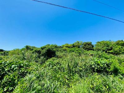 Motobu Town Sesoko / 1258m² / 380.55 tsubo / Land for sale for 59 million yen | Okinawa real estate information [Uchinaa Life] (t-7716-6230113-0987) — Image 4, Motobu, Okinawa