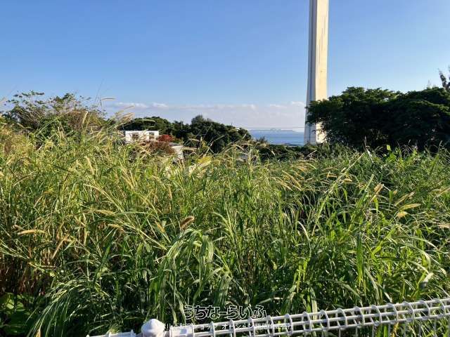 1,438 sqm Development Land for Sale in Kin Town, Okinawa - Thumbnail 2