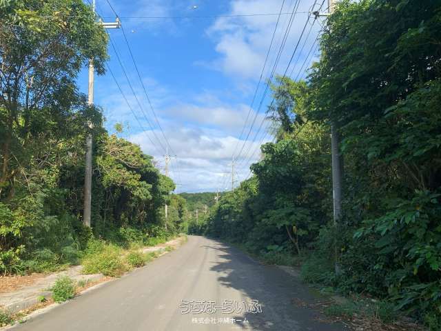 3011 sqm Wilderness Land for Sale in Kabira, Ishigaki - Thumbnail 2