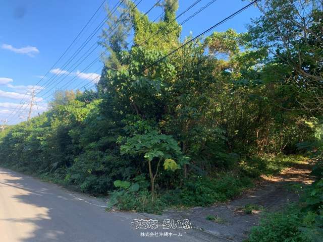 3011 sqm Wilderness Land for Sale in Kabira, Ishigaki - Thumbnail 3