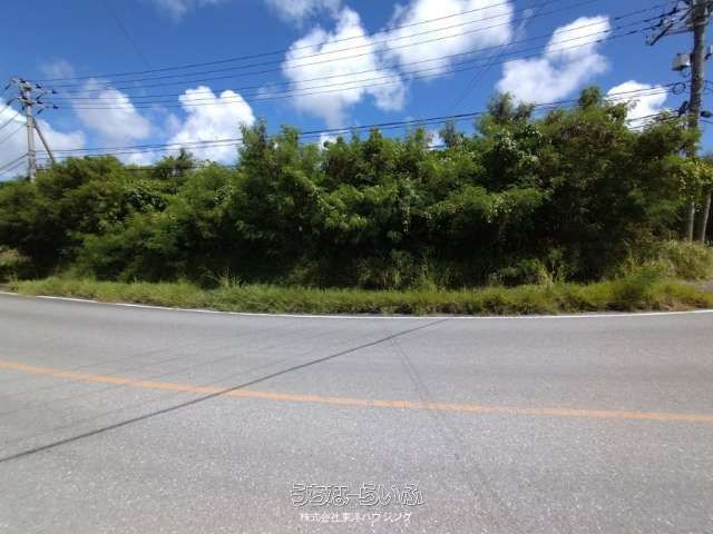 941.82㎡ Agricultural Land for Sale in Yaese Town, Okinawa - Thumbnail 2