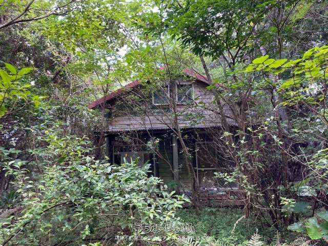 5,000 Tsubo Land for Sale in Motobu, Okinawa with Renovation Potential - Thumbnail 3