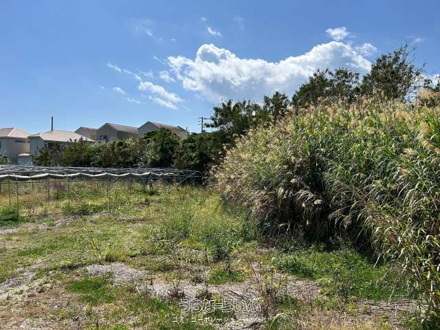 Large 2046.98 sqm Development Land for Sale in Nanjo City, Okinawa - Thumbnail 2