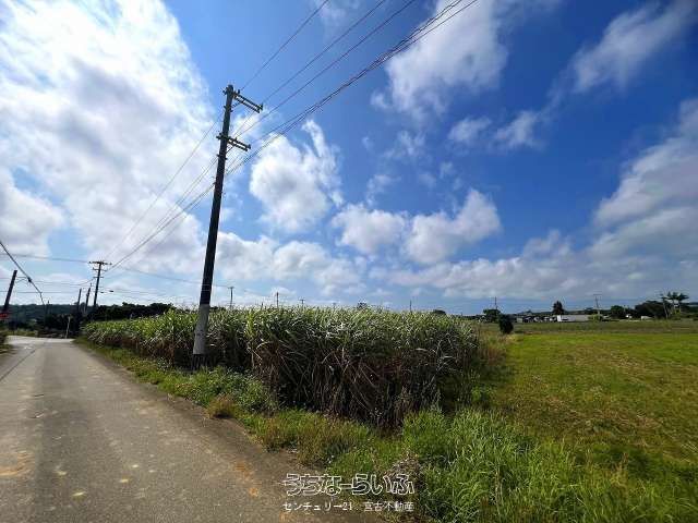 1973 sqm Land for Sale in Miyakojima City, Okinawa - Thumbnail 3
