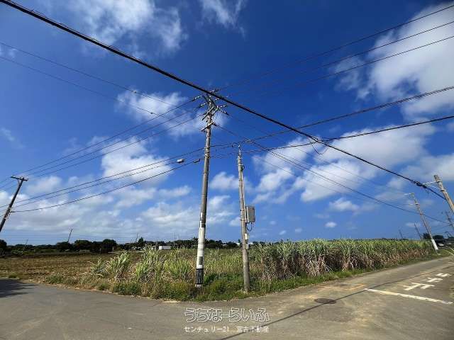 1973 sqm Land for Sale in Miyakojima City, Okinawa - Thumbnail 4