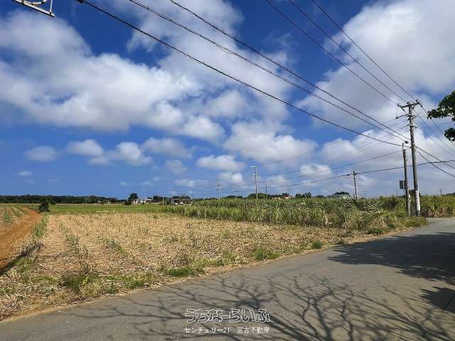 1973 sqm Land for Sale in Miyakojima City, Okinawa - Thumbnail 2