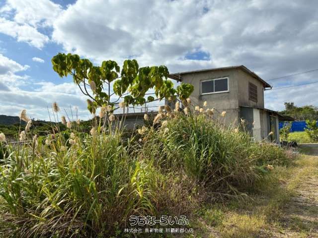 10,826 sqm Agricultural Land for Sale in Nago, Okinawa - Thumbnail 2