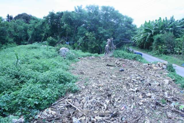 608m² Corner Land Plot for Sale in Shinri, Motobu Town, Okinawa - Thumbnail 4