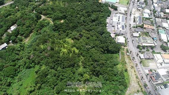 28,600 sqm Land for Sale in Nago, Okinawa Near Pineapple Park - Thumbnail 3