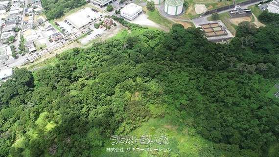 28,600 sqm Land for Sale in Nago, Okinawa Near Pineapple Park - Thumbnail 4