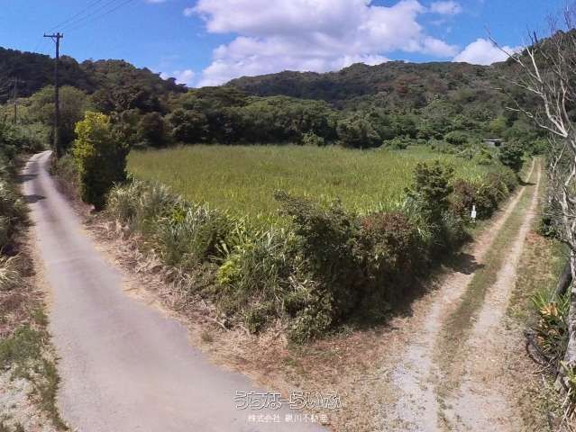 Agricultural Land for Sale in Genka, Nago City, Okinawa - Thumbnail 2