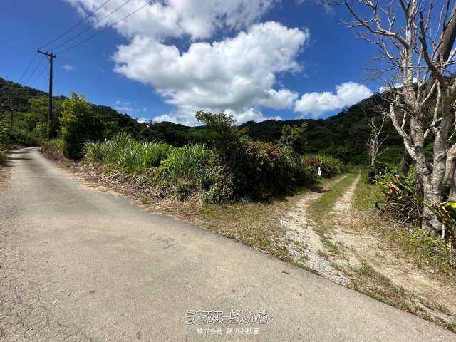 Agricultural Land for Sale in Genka, Nago City, Okinawa - Image 1