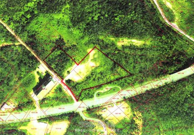 Forest Land for Sale in Henoko, Nago City, Okinawa - 7337.8 sqm - Thumbnail 3