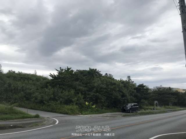 Forest Land for Sale in Henoko, Nago City, Okinawa - 7337.8 sqm - Thumbnail 4