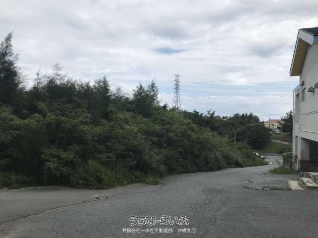 Forest Land for Sale in Henoko, Nago City, Okinawa - 7337.8 sqm - Image 1
