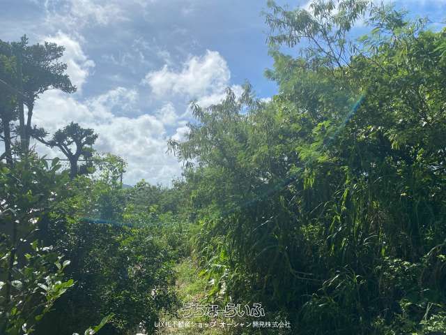Ocean View Land for Sale in Nanjo City, Okinawa - 527 sqm - Thumbnail 2