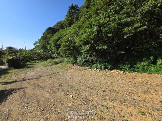 2,955 sqm Land for Sale in Kurega, Nago, Okinawa - Thumbnail 4