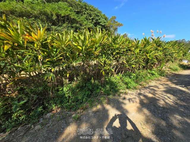 2,955 sqm Land for Sale in Kurega, Nago, Okinawa - Thumbnail 2