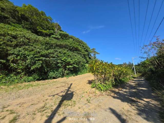 2,955 sqm Land for Sale in Kurega, Nago, Okinawa - Thumbnail 3