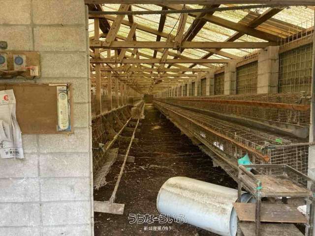 Agricultural Land with Poultry Coops for Sale in Nago, Okinawa - Thumbnail 4