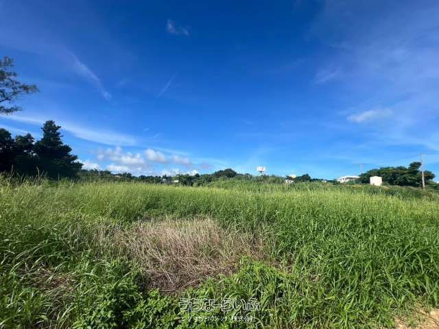 Commercial Land Lease in Uruma City, Okinawa - 2934 sqm - Thumbnail 3
