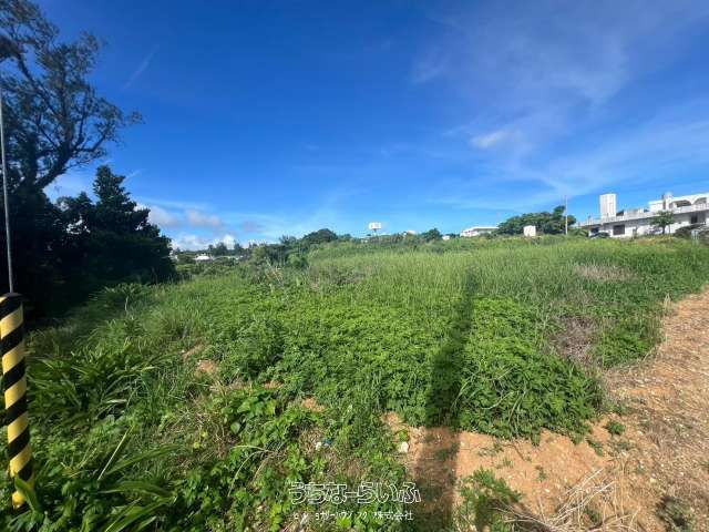 Commercial Land Lease in Uruma City, Okinawa - 2934 sqm - Thumbnail 2