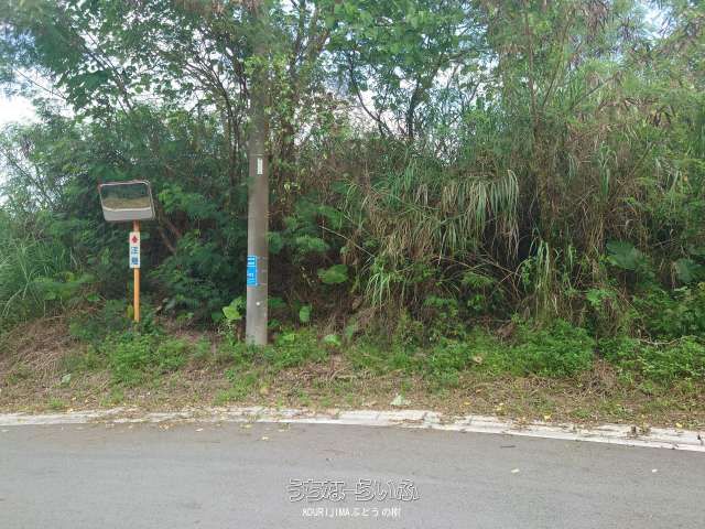 483㎡ Hilltop Land for Sale in Motobu Town, Okinawa - Thumbnail 2