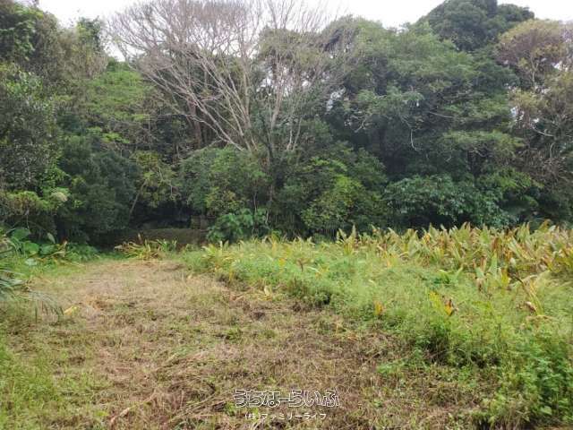 Agricultural Land for Sale in Nago, Okinawa - 1824 sqm Plot - Thumbnail 2