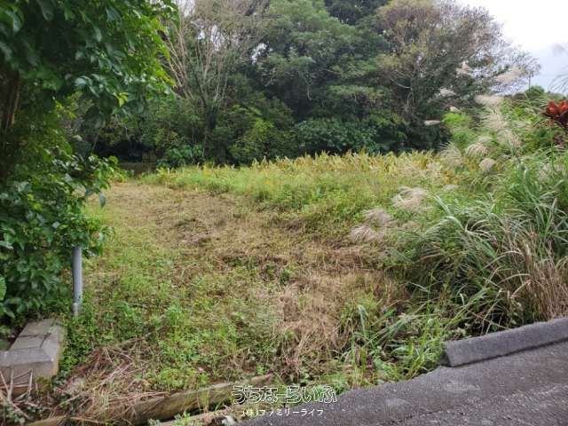 Agricultural Land for Sale in Nago, Okinawa - 1824 sqm Plot - Thumbnail 3