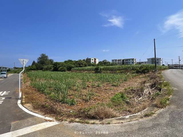 Land for Sale in Miyakojima City, Okinawa - 741 sqm - Thumbnail 4