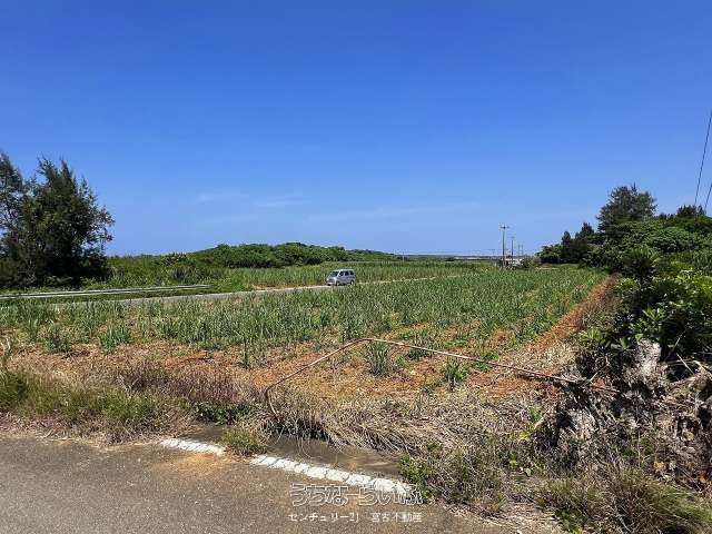 Land for Sale in Miyakojima City, Okinawa - 741 sqm - Thumbnail 2