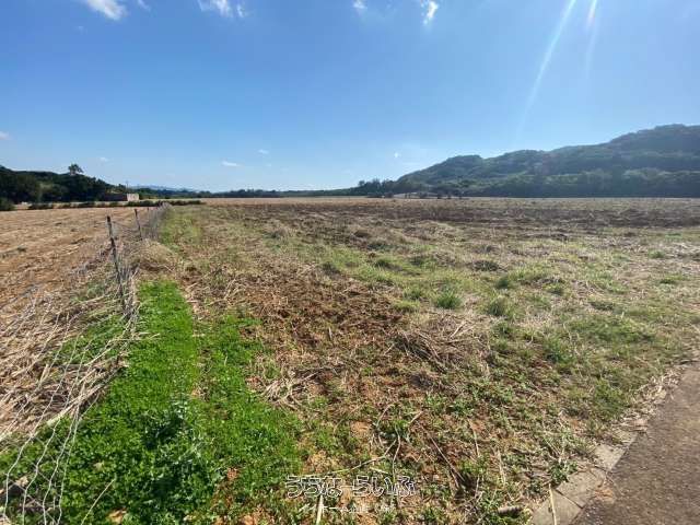 30,006 sqm Farmland for Sale in Shiji, Ishigaki, Okinawa - Thumbnail 3