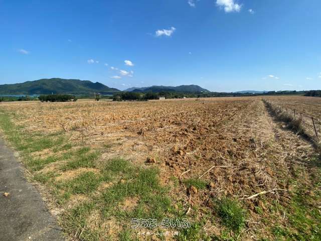 30,006 sqm Farmland for Sale in Shiji, Ishigaki, Okinawa - Thumbnail 4