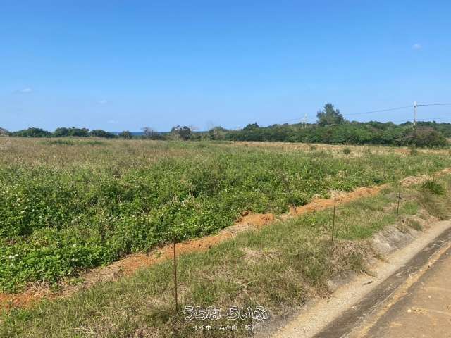 30,006 sqm Farmland for Sale in Shiji, Ishigaki, Okinawa - Thumbnail 2